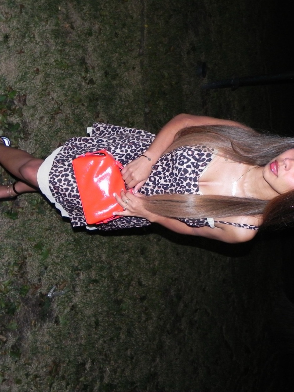 Leopard Print Mini Dress - Picture 2 of 4